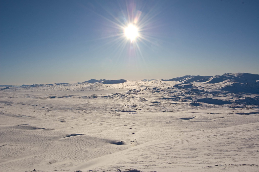 norway desert 0012