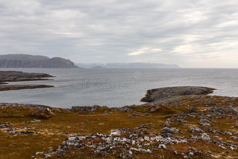 norway desert 0019
