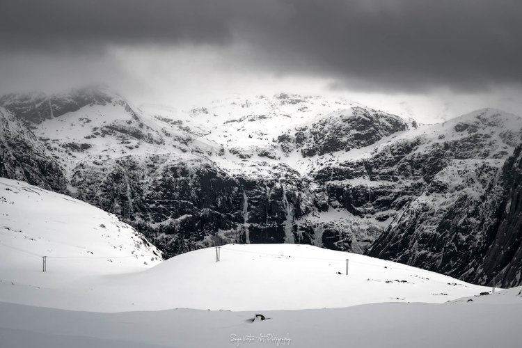 norway desert 0042