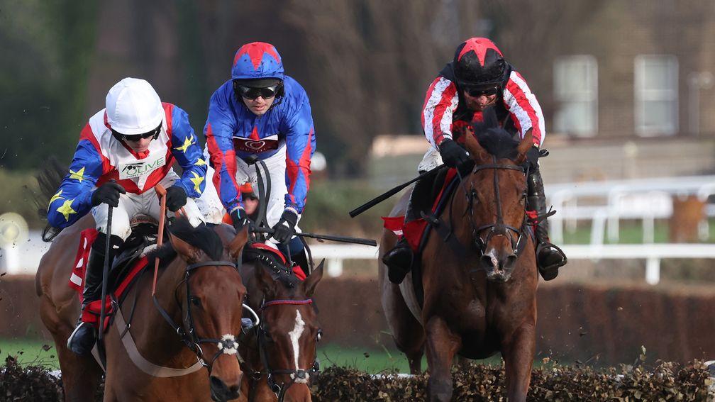 novice hurdle tips