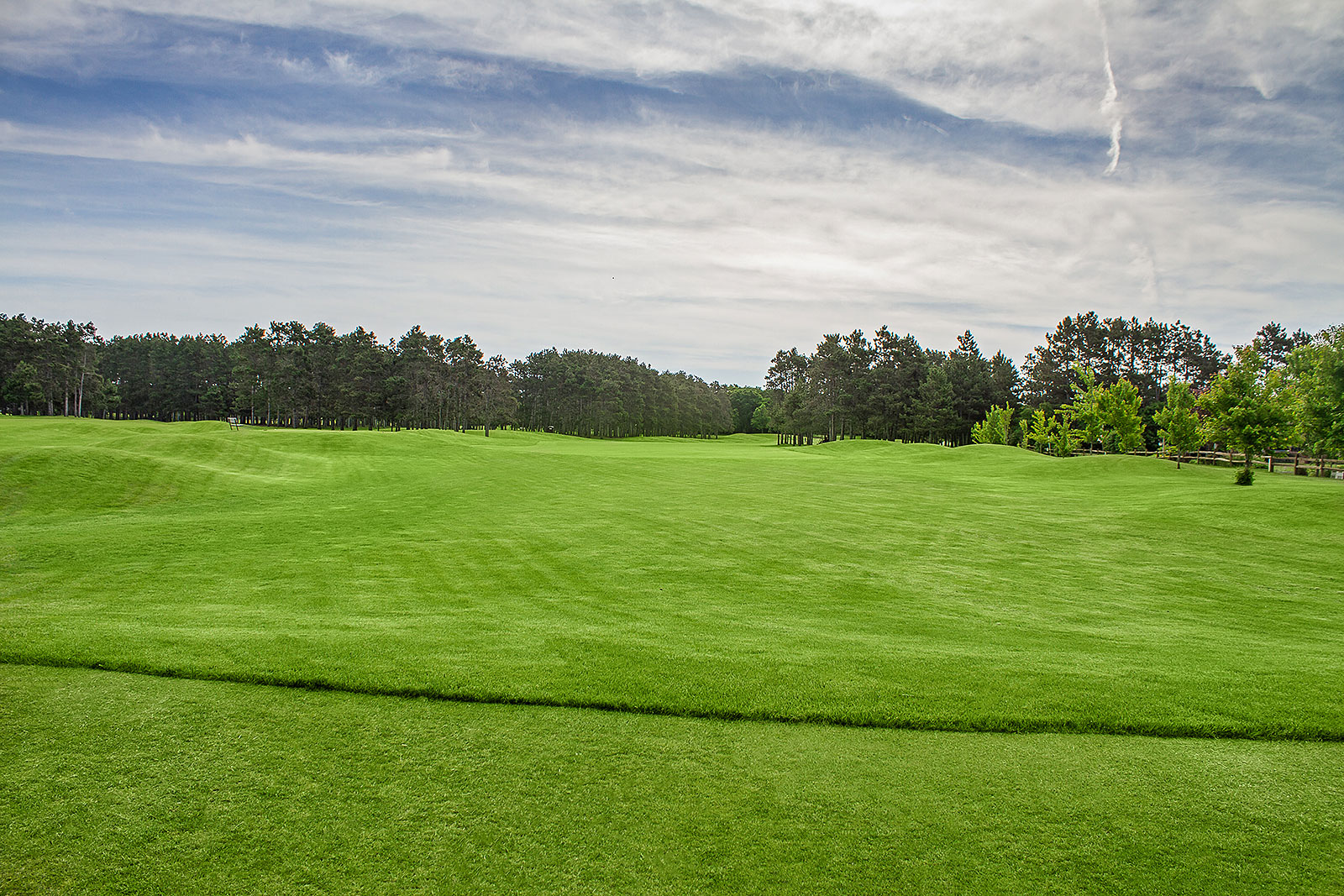 Oak Hill 15th hole history