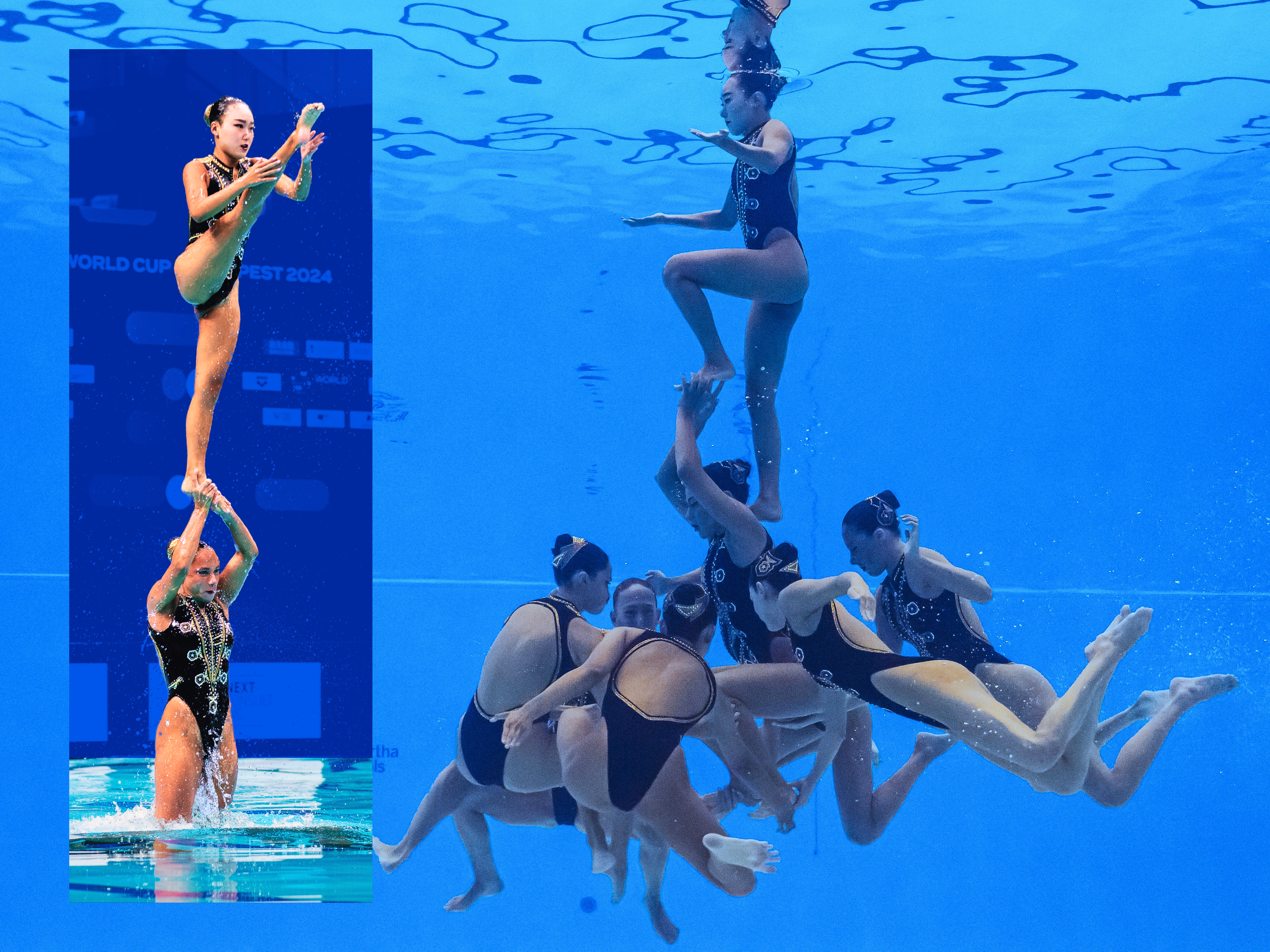 olympic swimmer photo 0039
