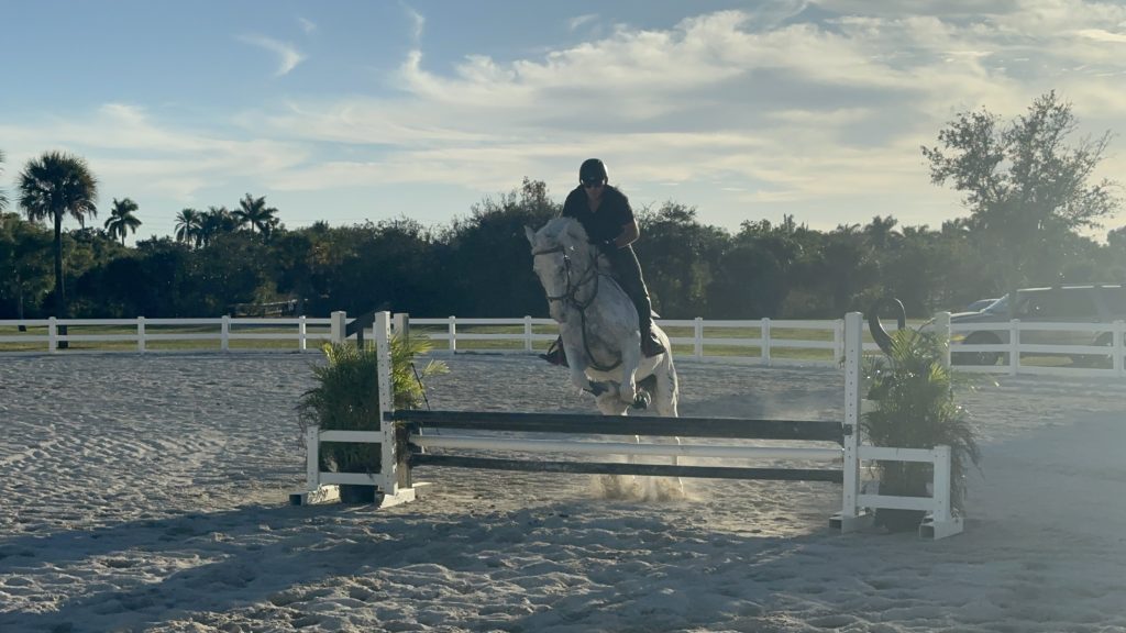 orchid stables lessons