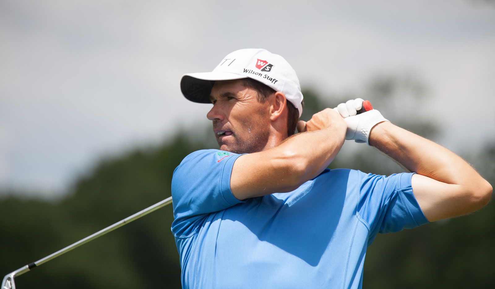 Padraig Harrington fan reactions.