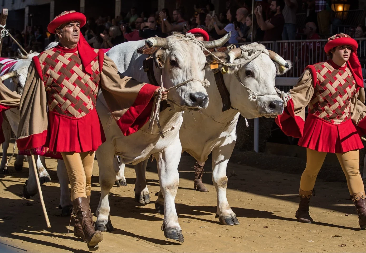 palio di asti 0014