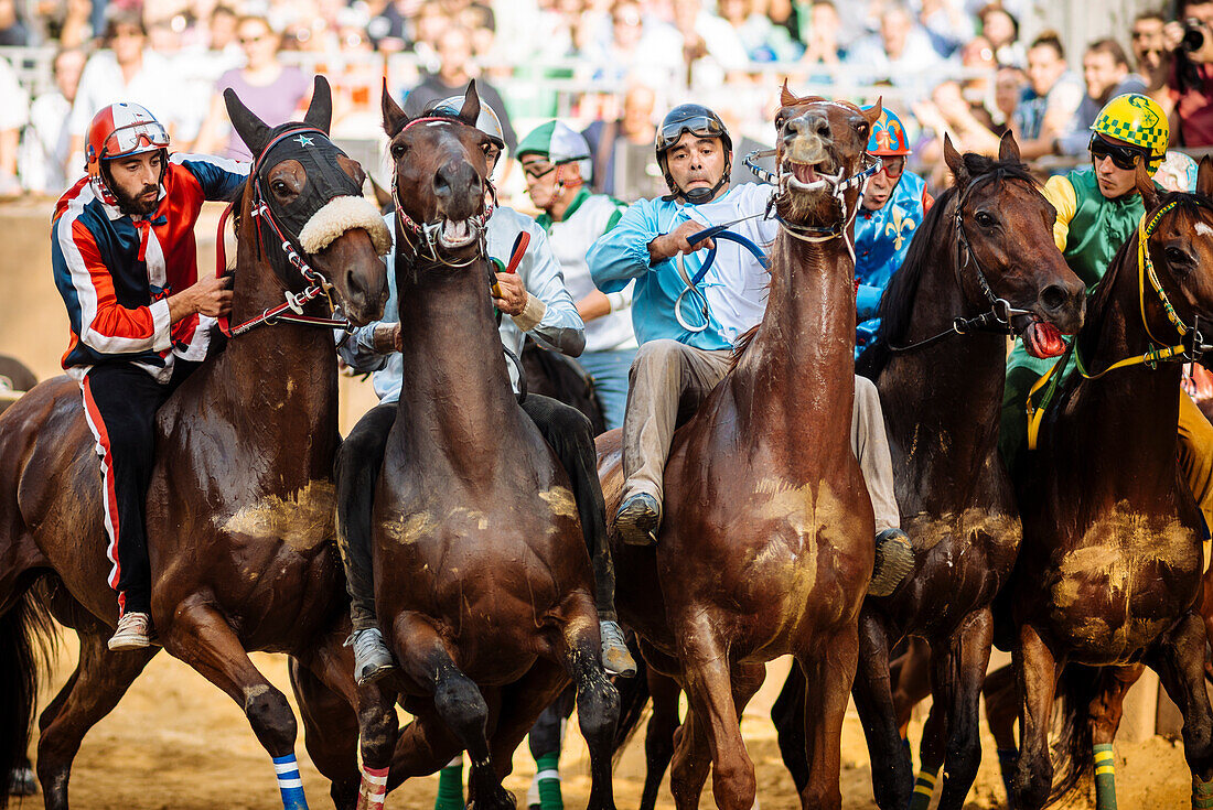 palio di asti 0021