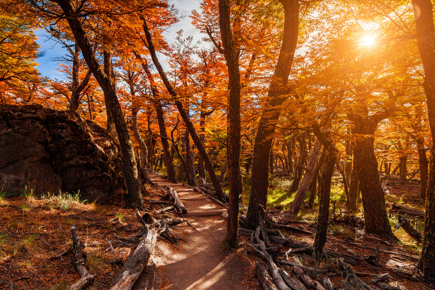 Patagonia fall scenery