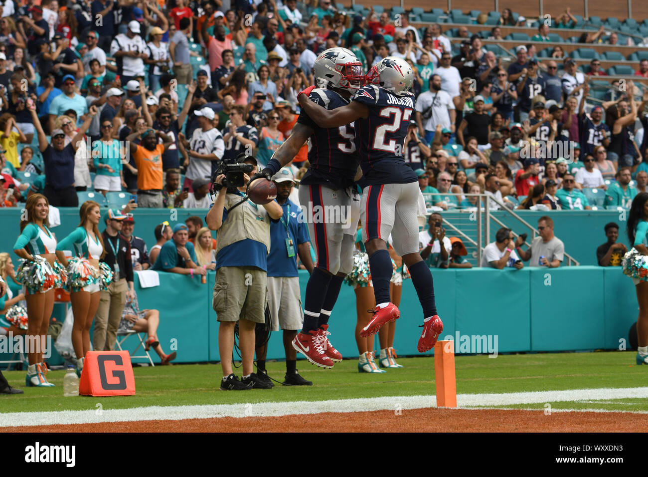 Patriots Dolphins fan reactions