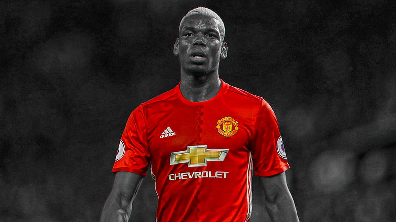 paul pogba wallpaper 0080