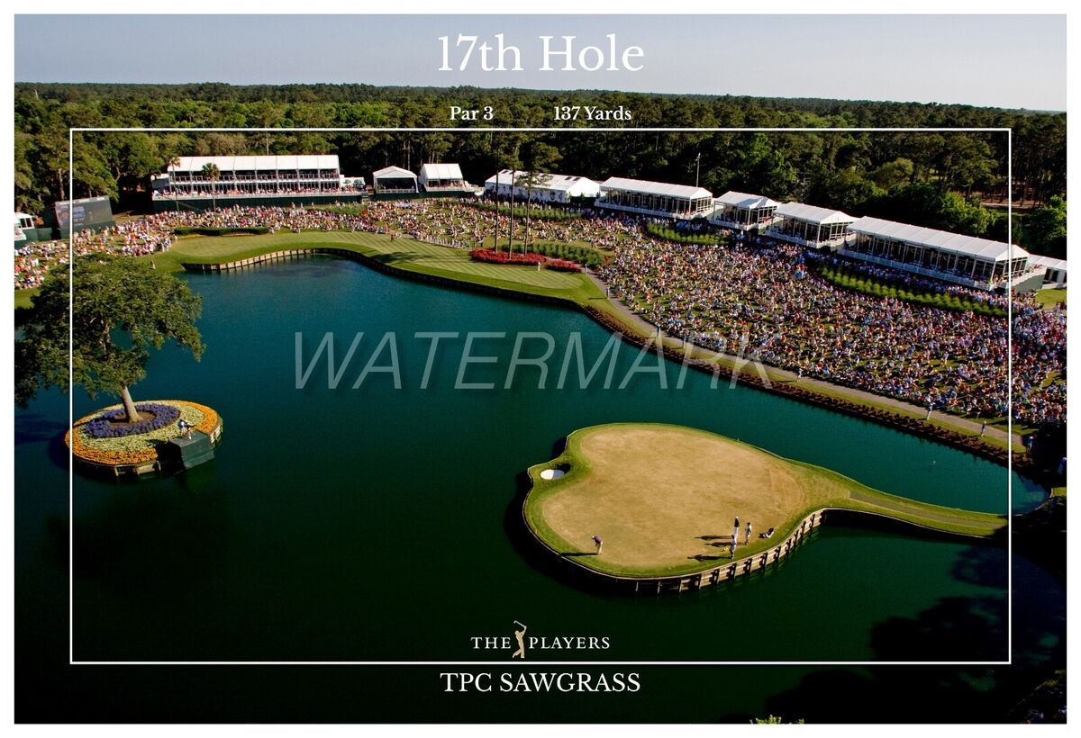 paul sawgrass 0033