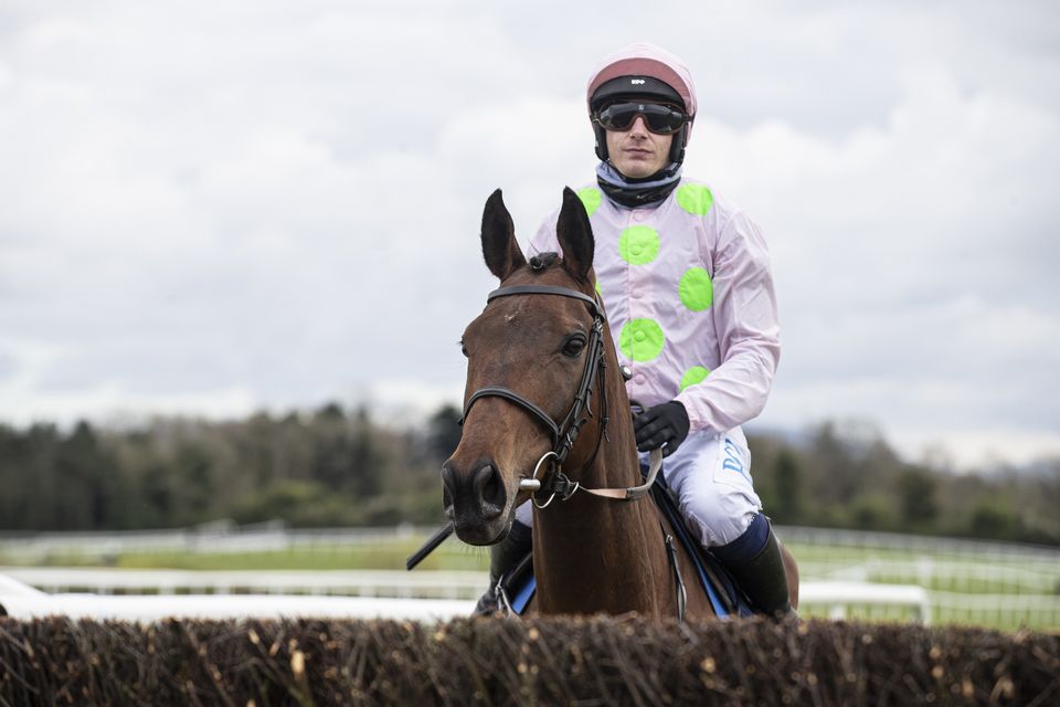 Paul Townend biography