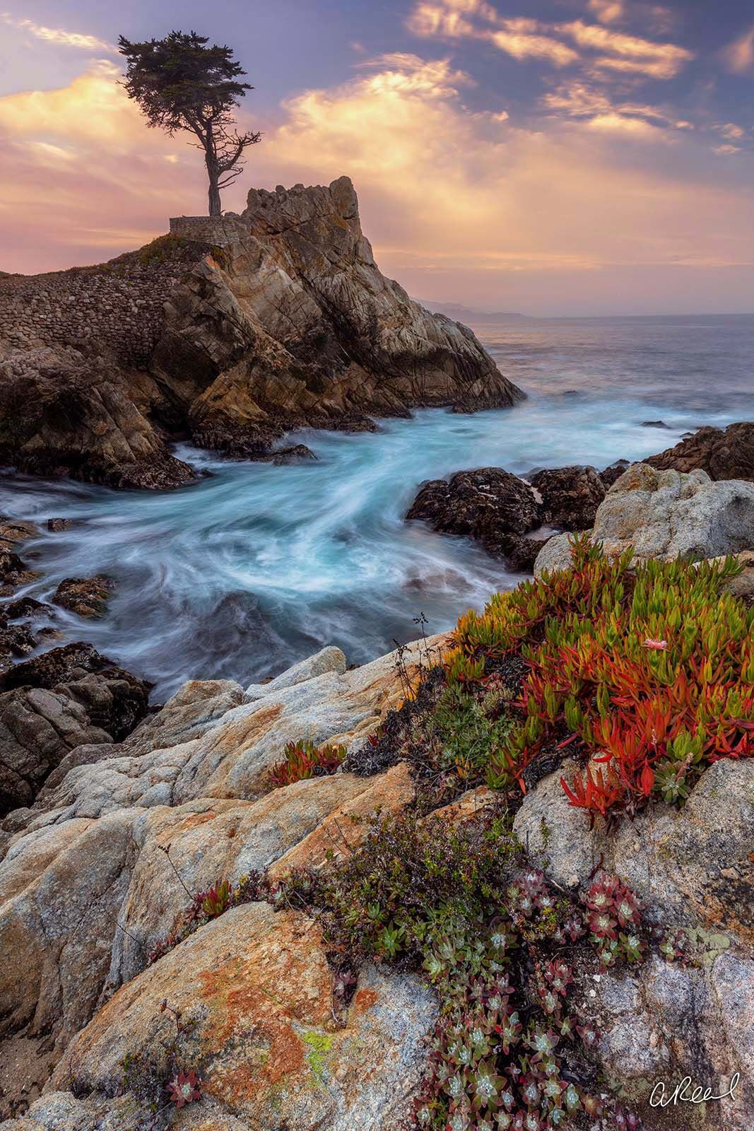 pebble beach prints 0033