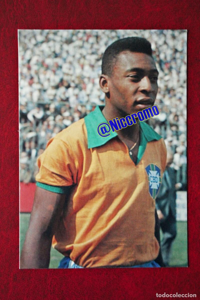 pele 1966 0021