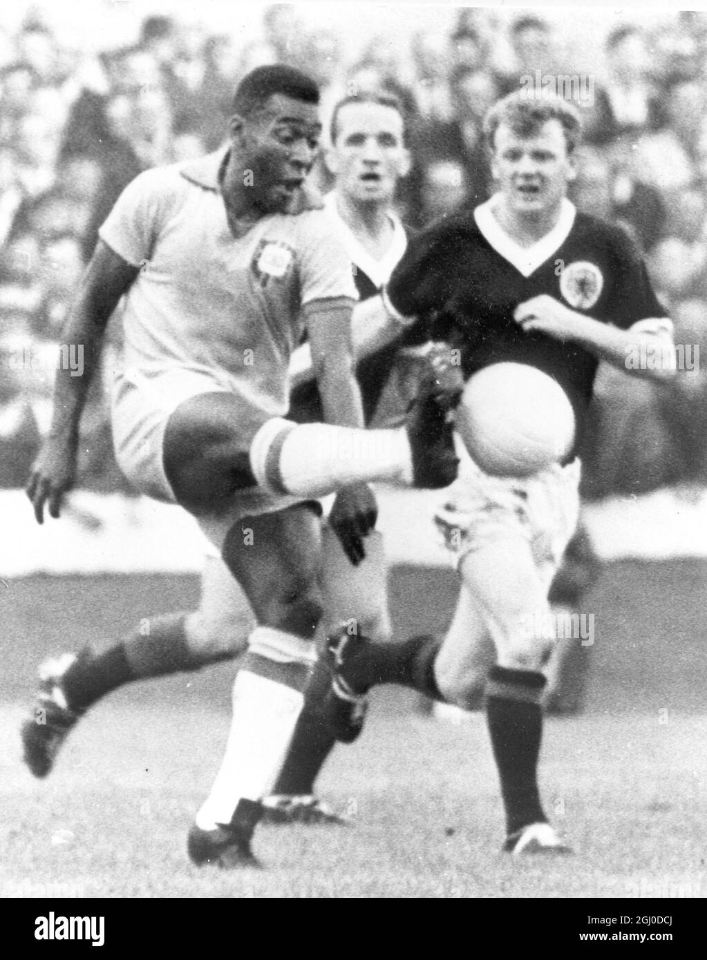pele 1966 0058