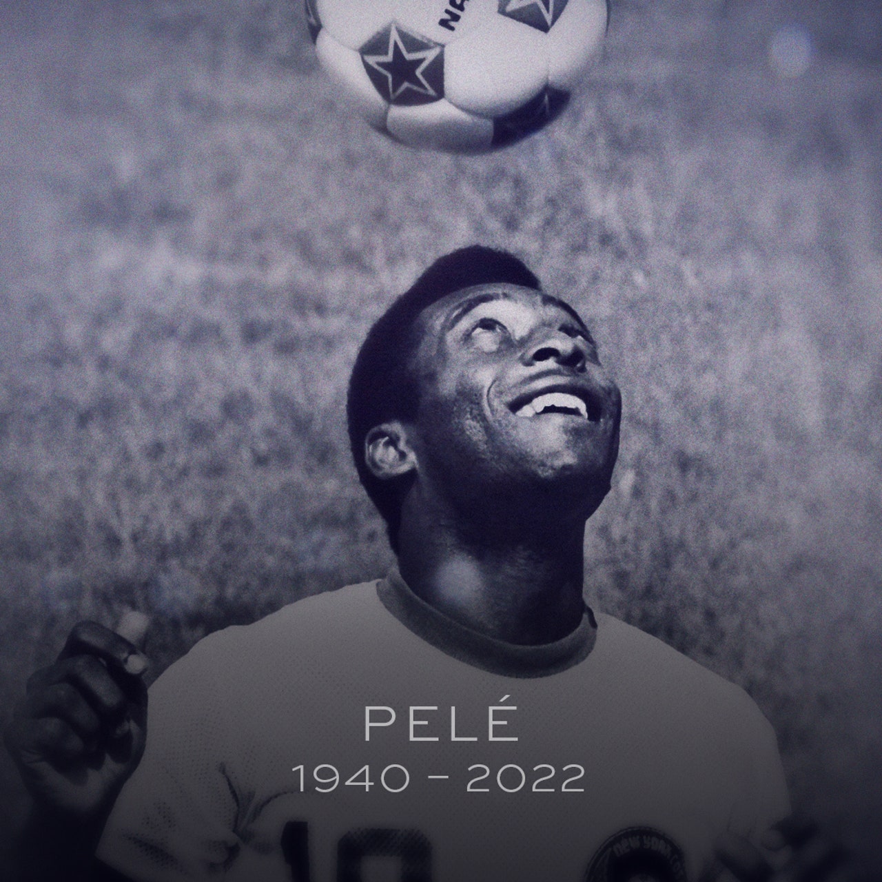 pele pfp 0030