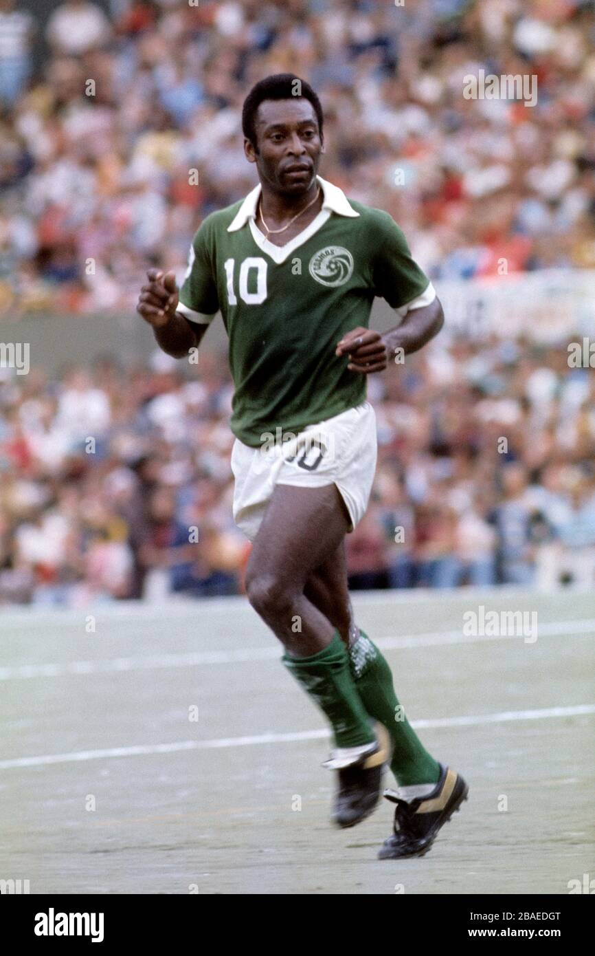 pele pfp 0052