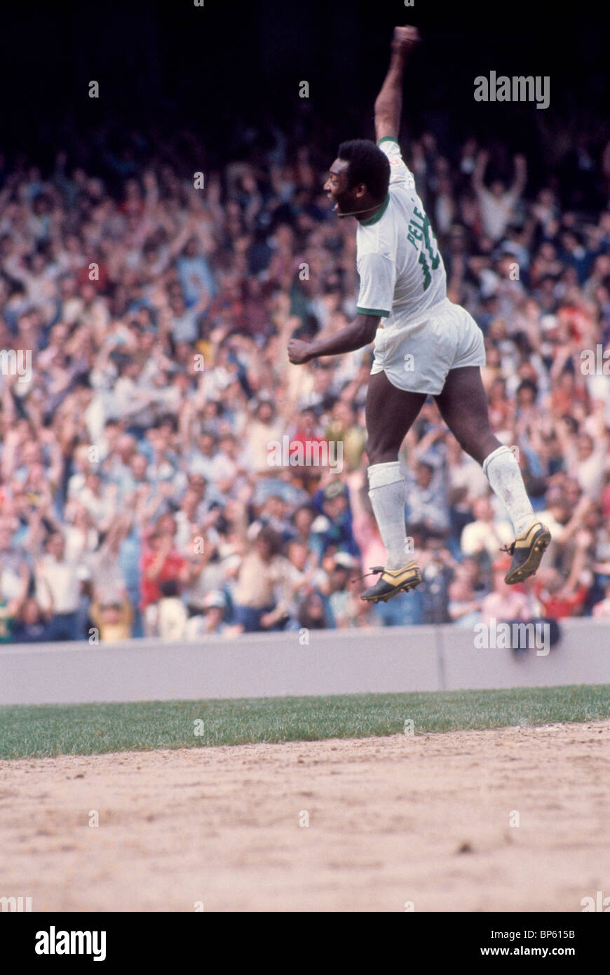 pele pfp 0053