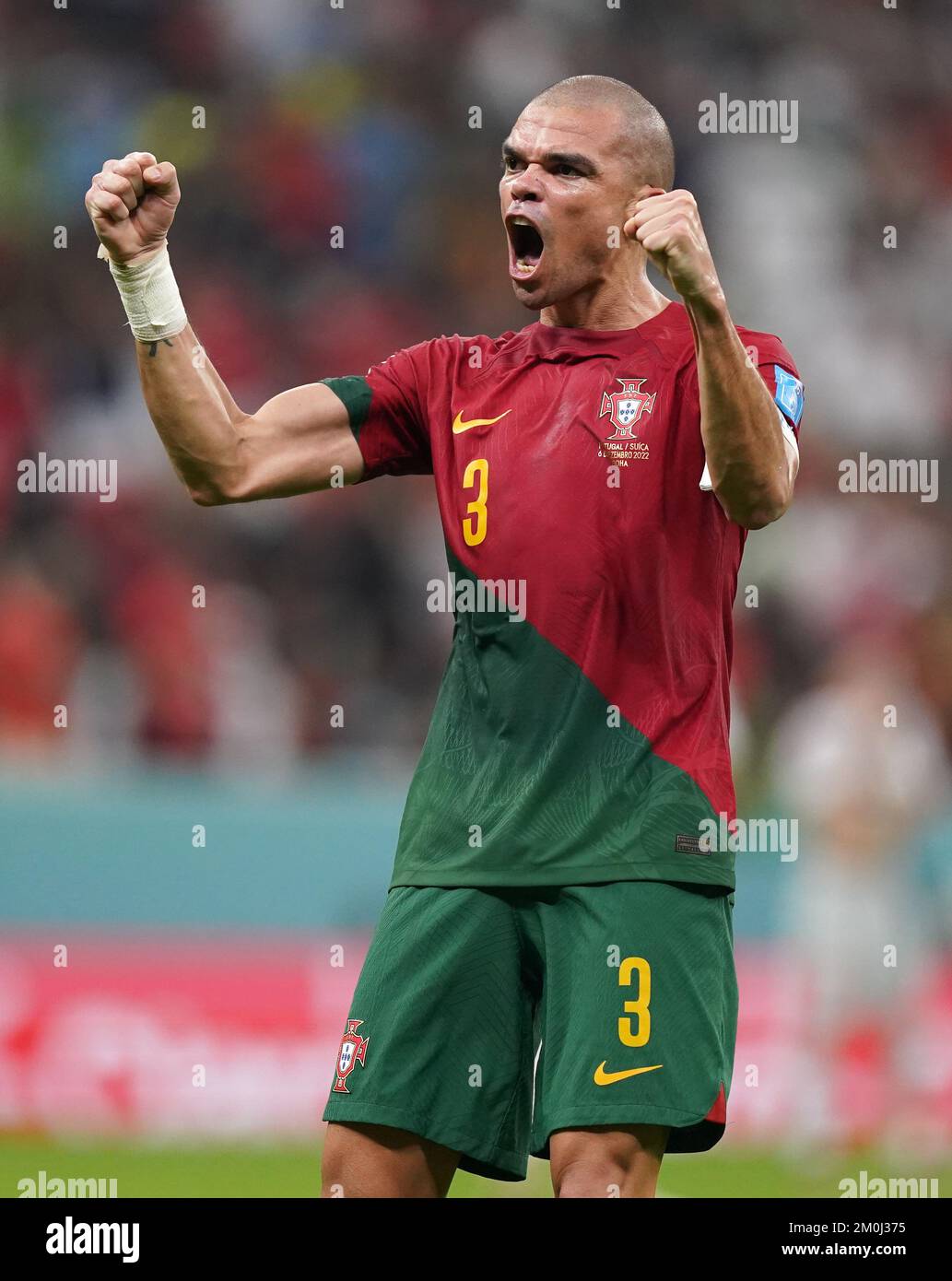 pepe world cup 0016
