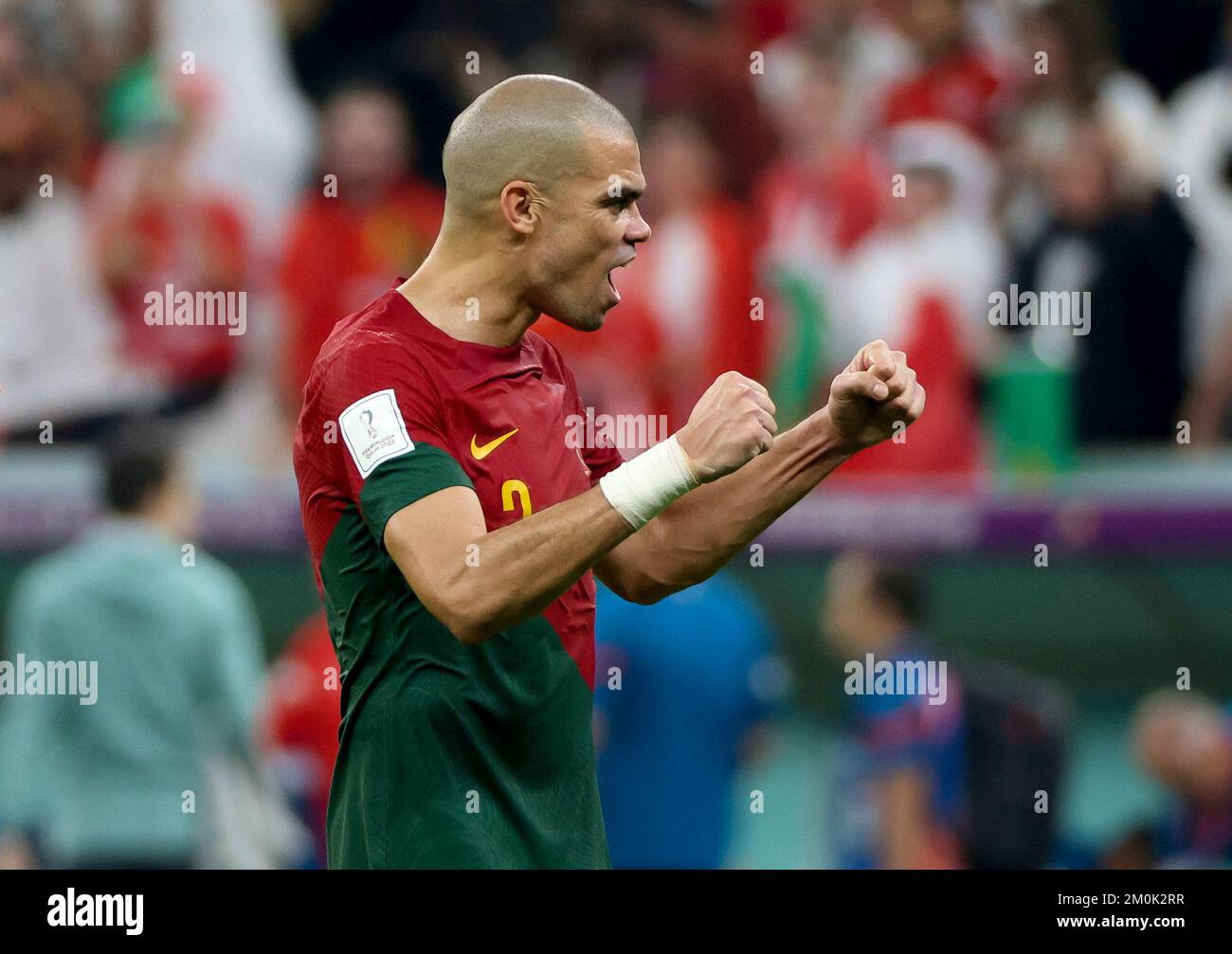 pepe world cup 0039