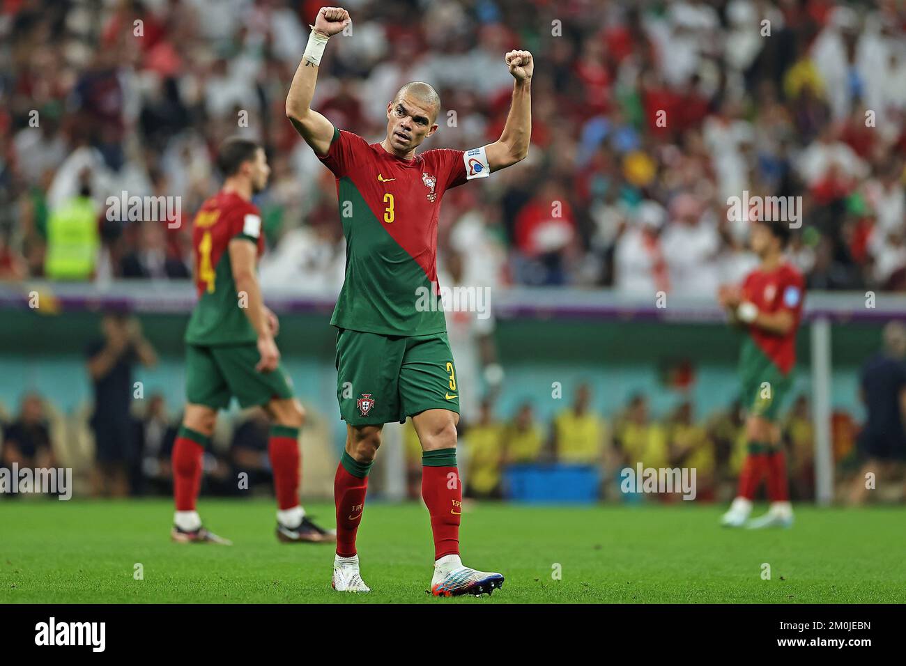 pepe world cup 0074