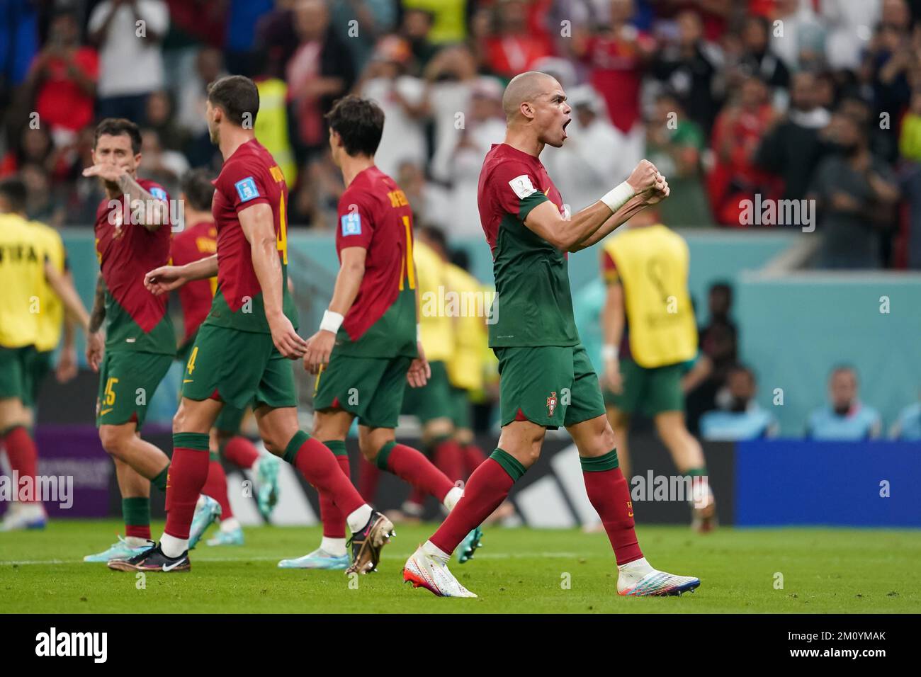 pepe world cup 0085