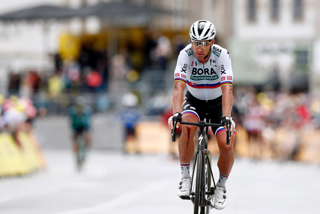 peter sagan green jersey 0023