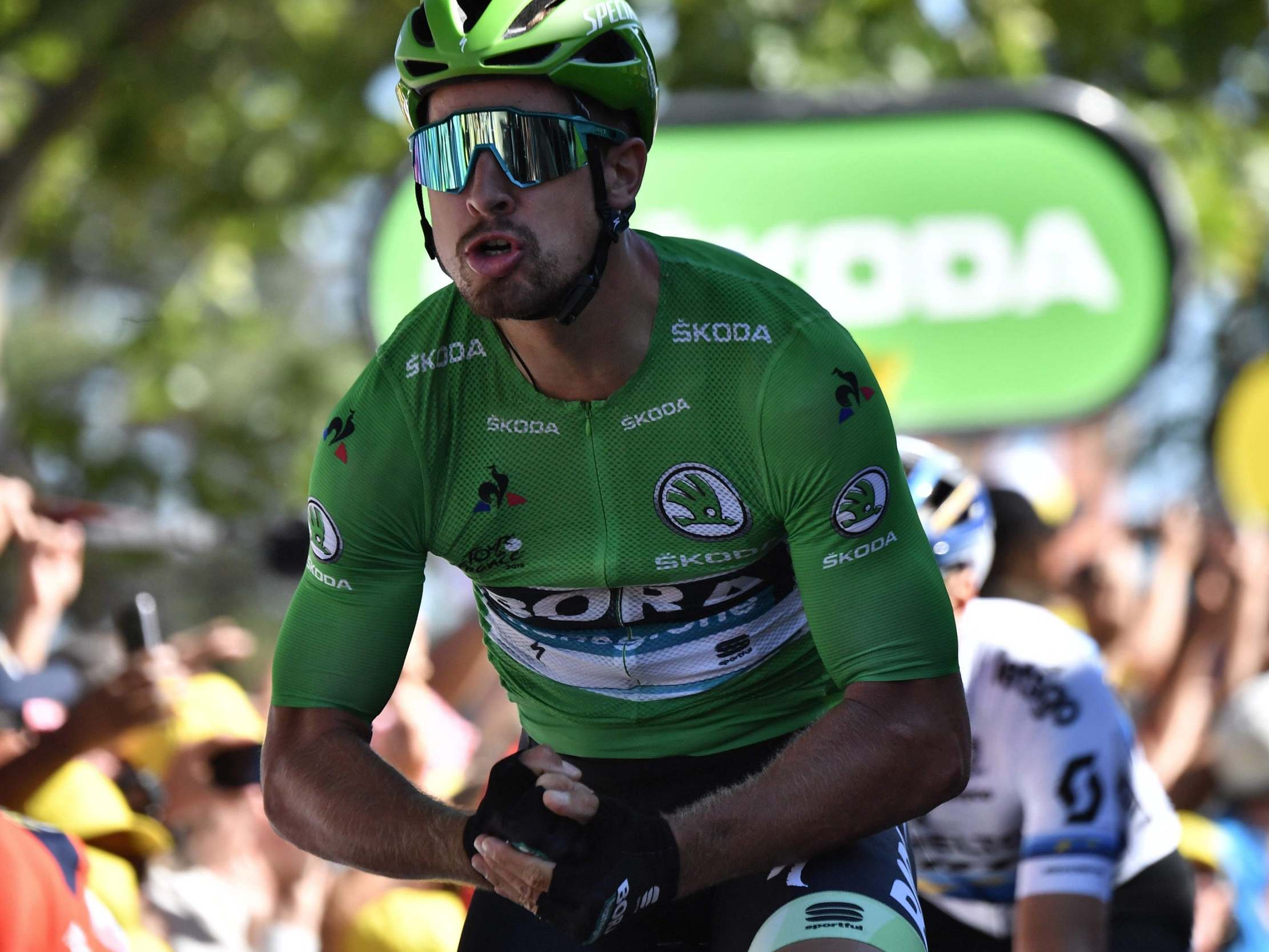 peter sagan green jersey 0027