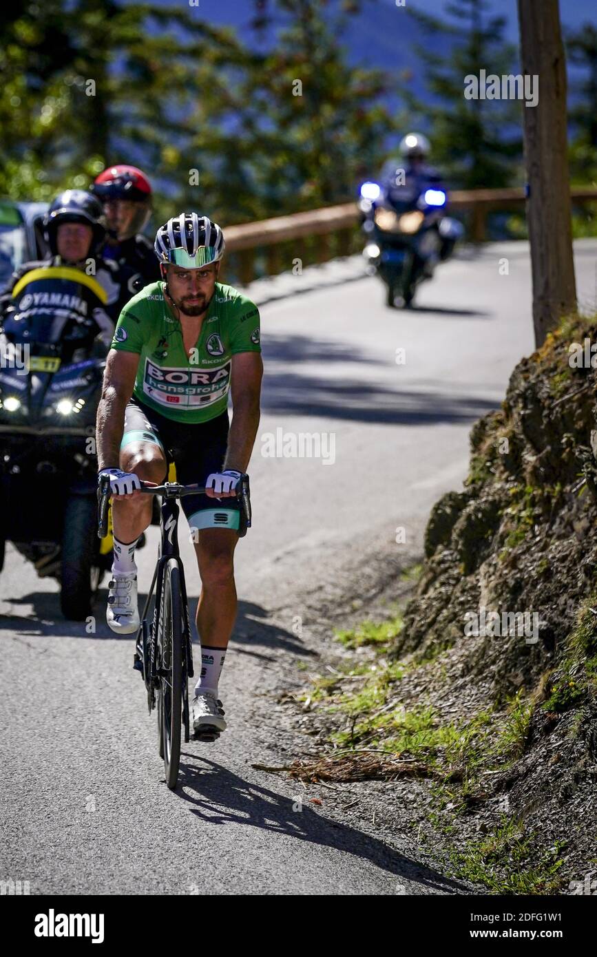 peter sagan green jersey 0033
