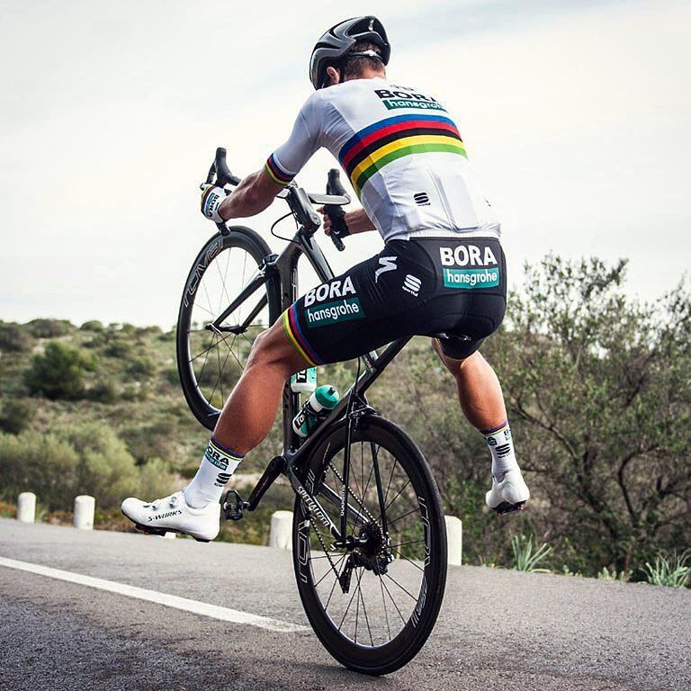 Peter Sagan performance