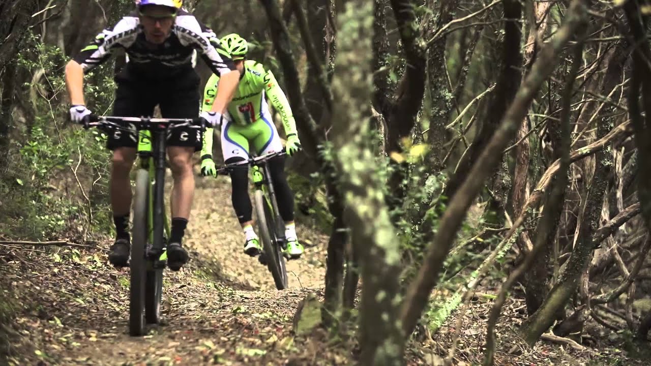 peter sagan wheelie 0040