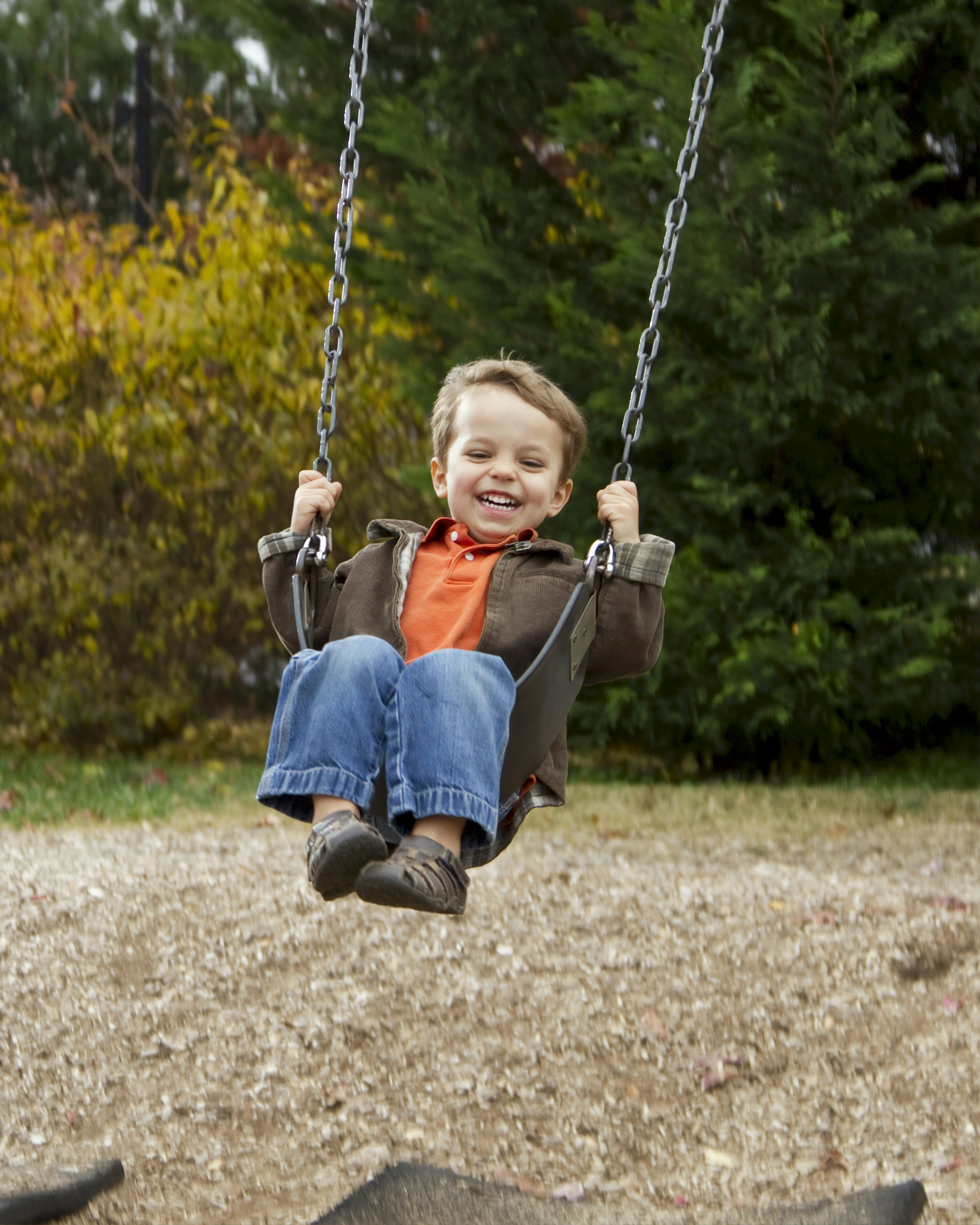 picture of a swing 0044
