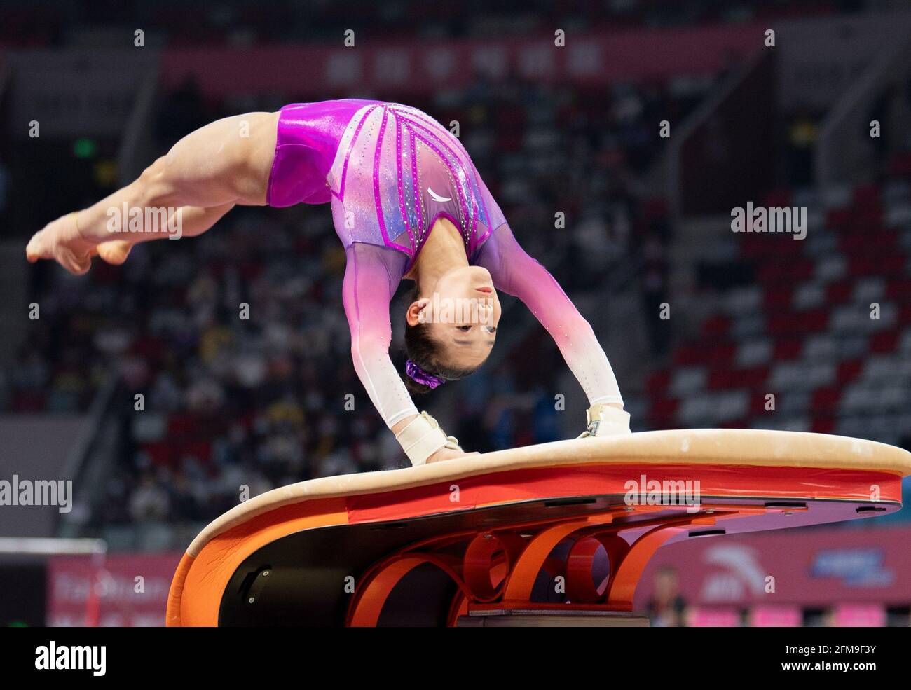 picture of a vault in gymnastics 0013
