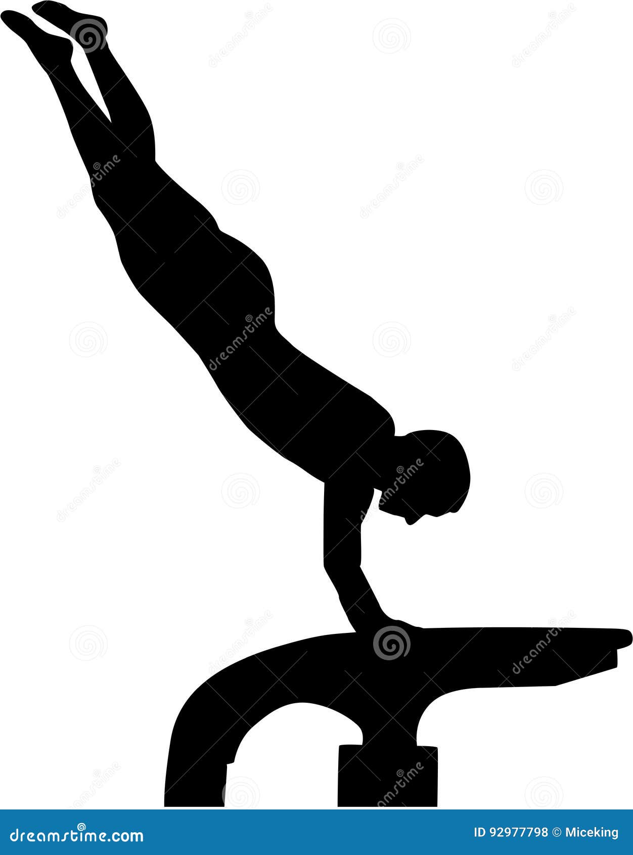 picture of a vault in gymnastics 0024