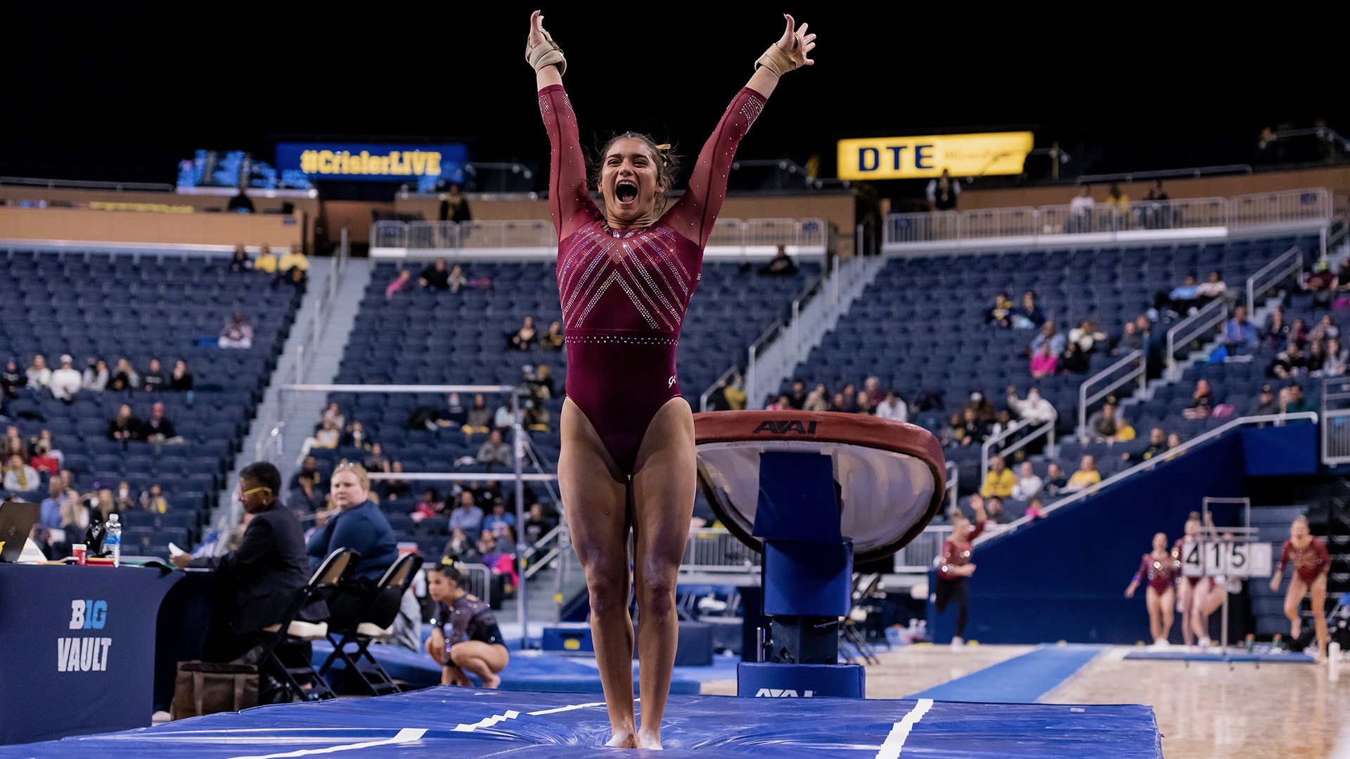 picture of a vault in gymnastics 0027