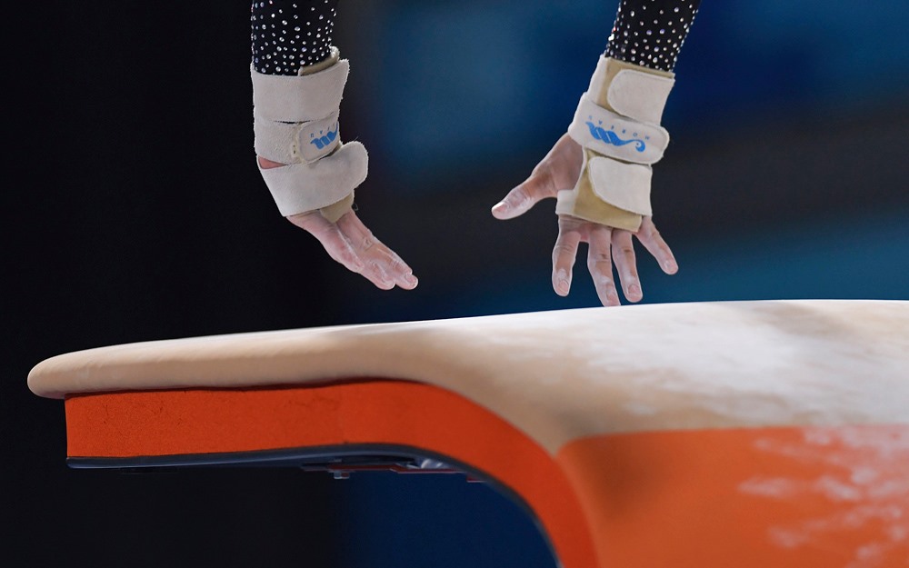 picture of a vault in gymnastics 0029
