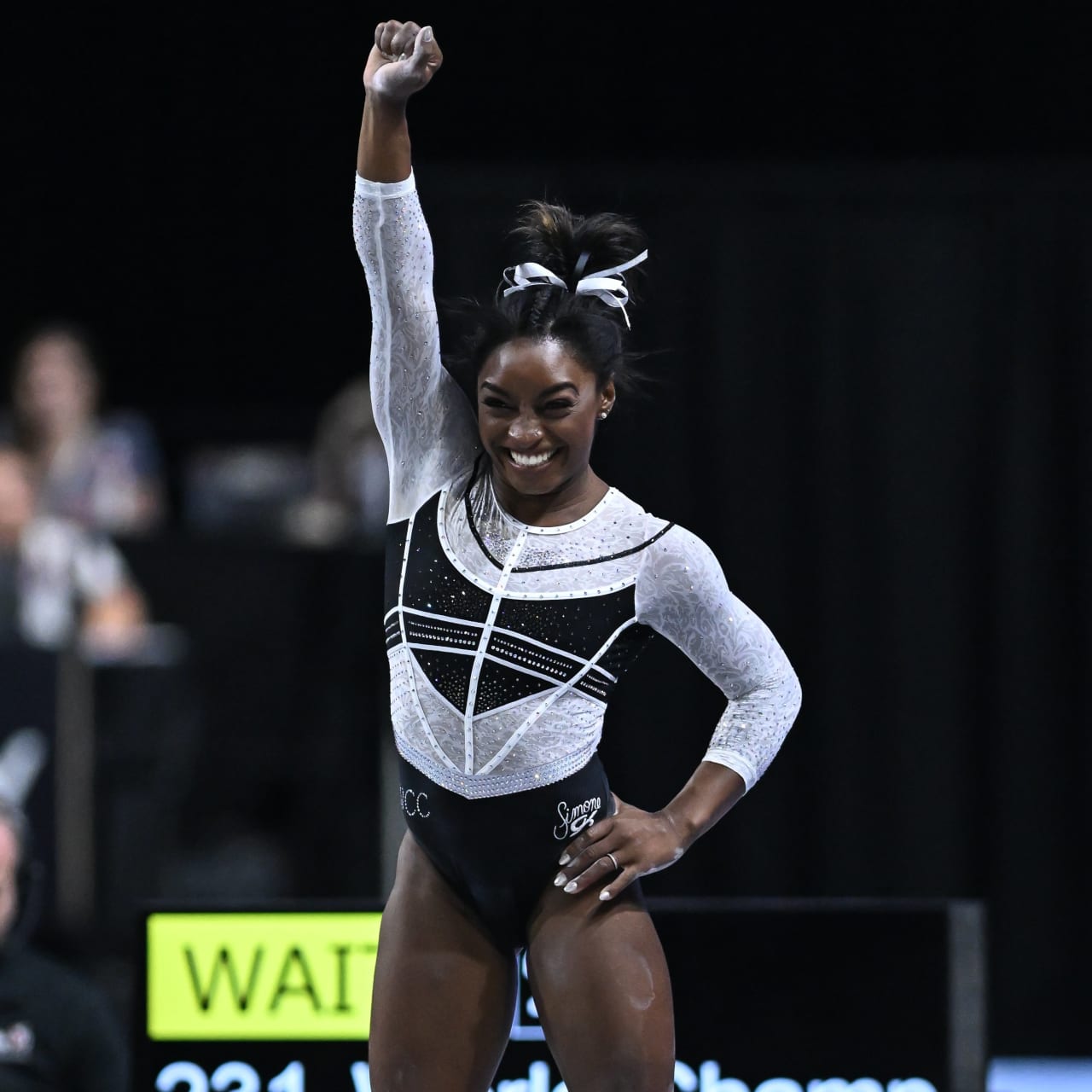 picture of a vault in gymnastics 0044