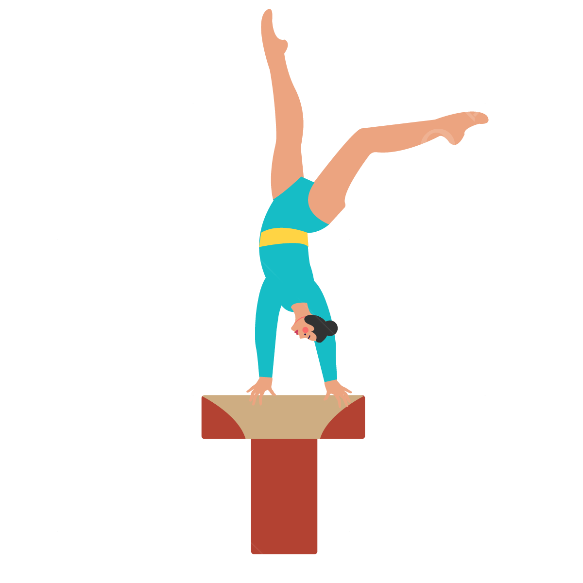 picture of a vault in gymnastics 0047
