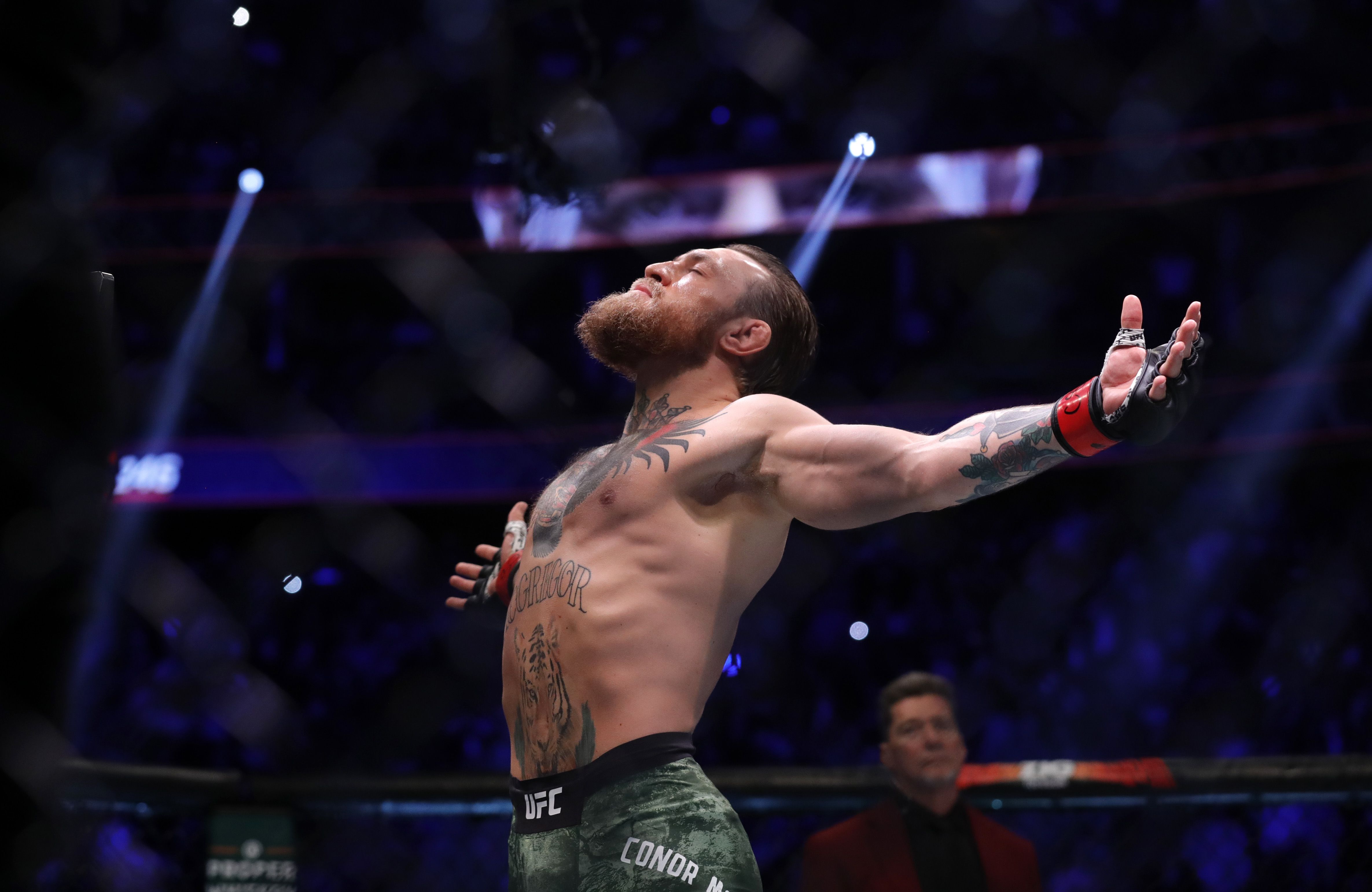 picture of conor mcgregor