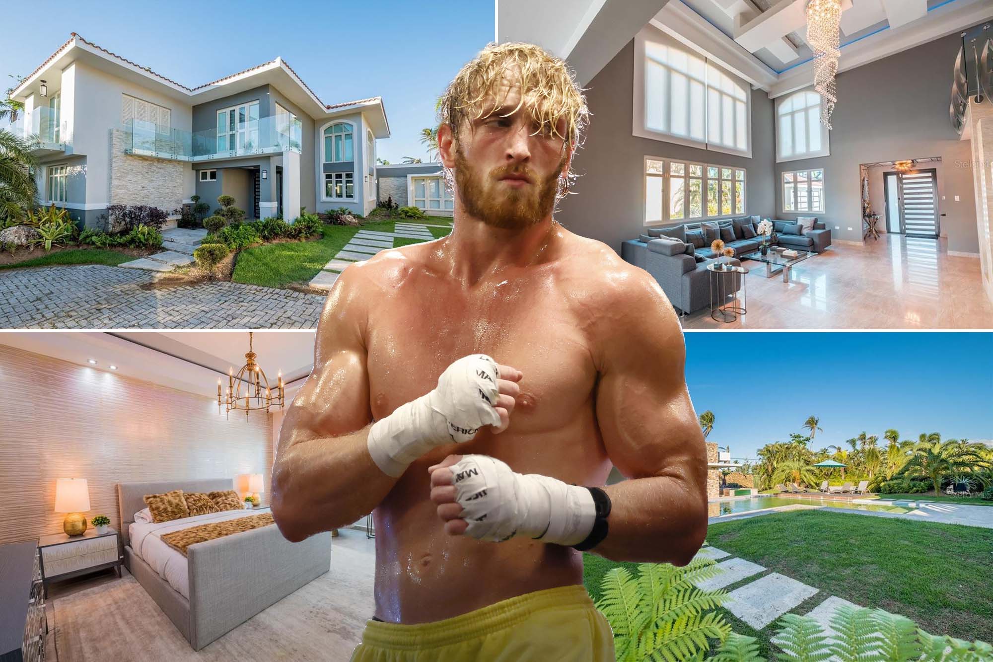 picture of logan paul 0030
