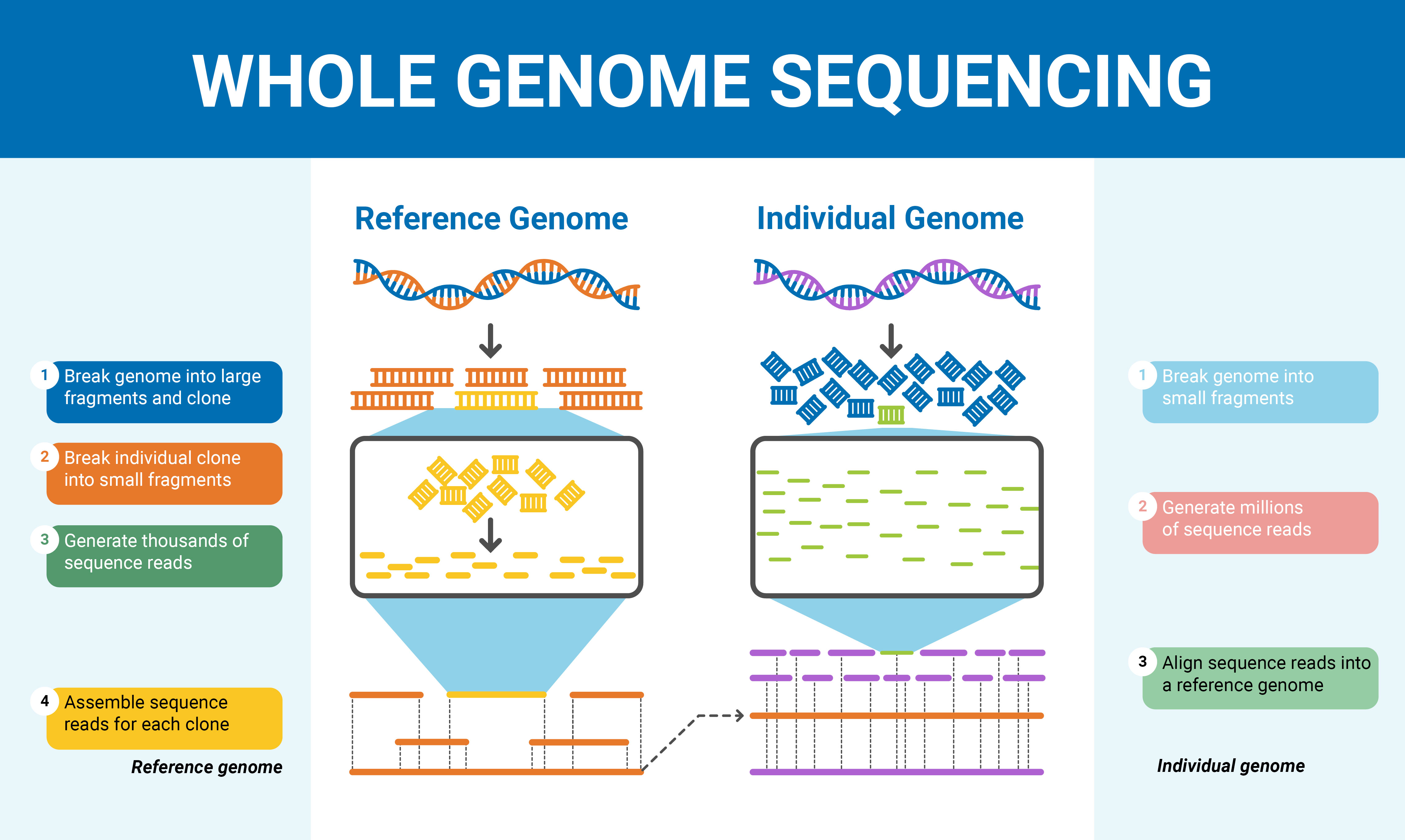picture of sequence 0034