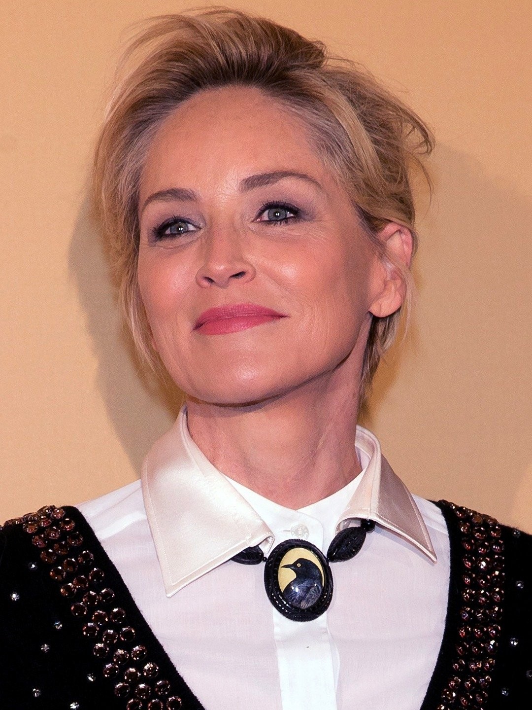 picture of sharon stone 0011