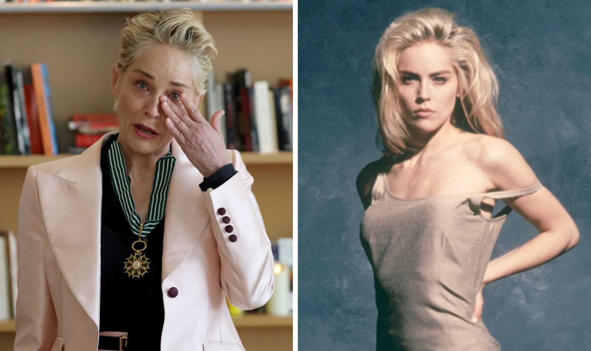 picture of sharon stone 0018