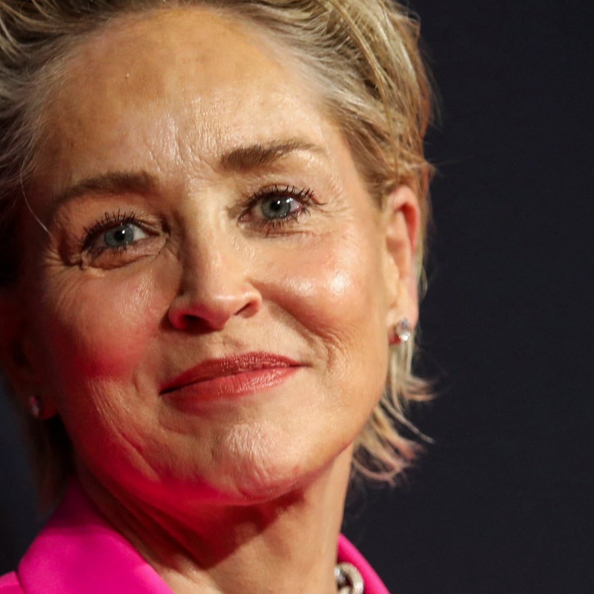 picture of sharon stone 0019