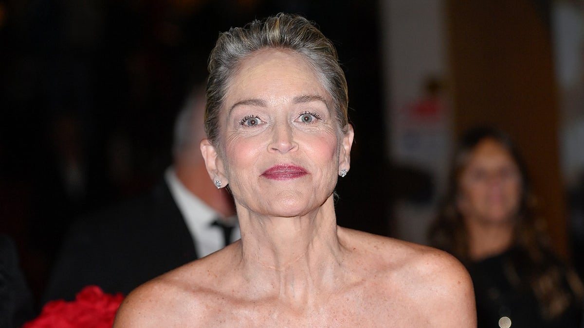 picture of sharon stone 0023