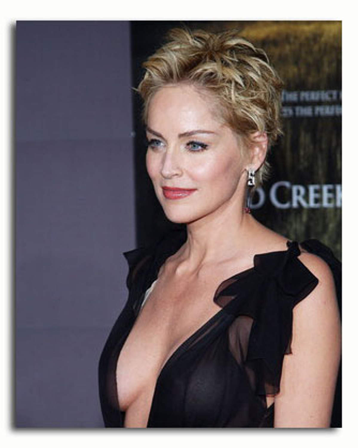 picture of sharon stone 0036