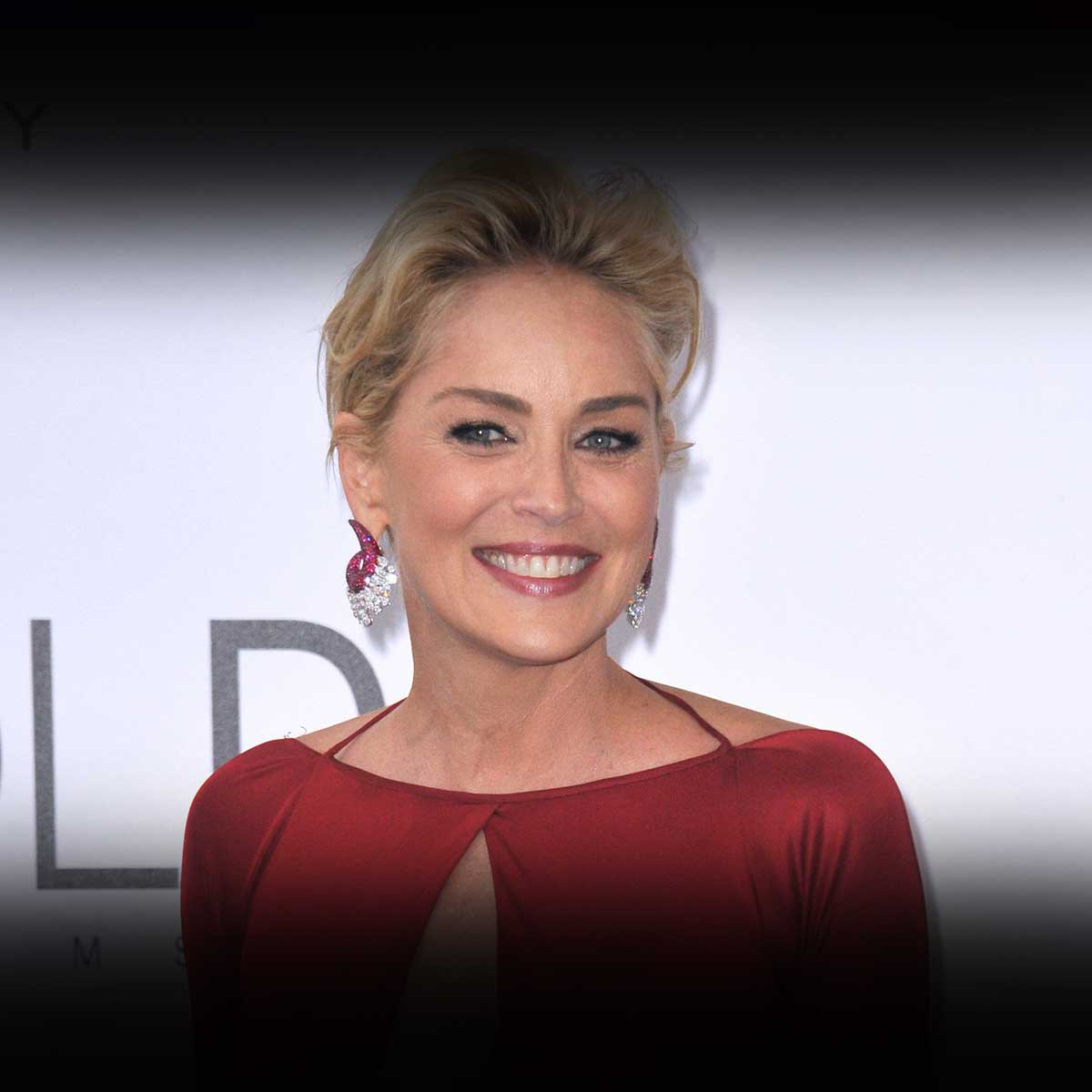 picture of sharon stone 0042