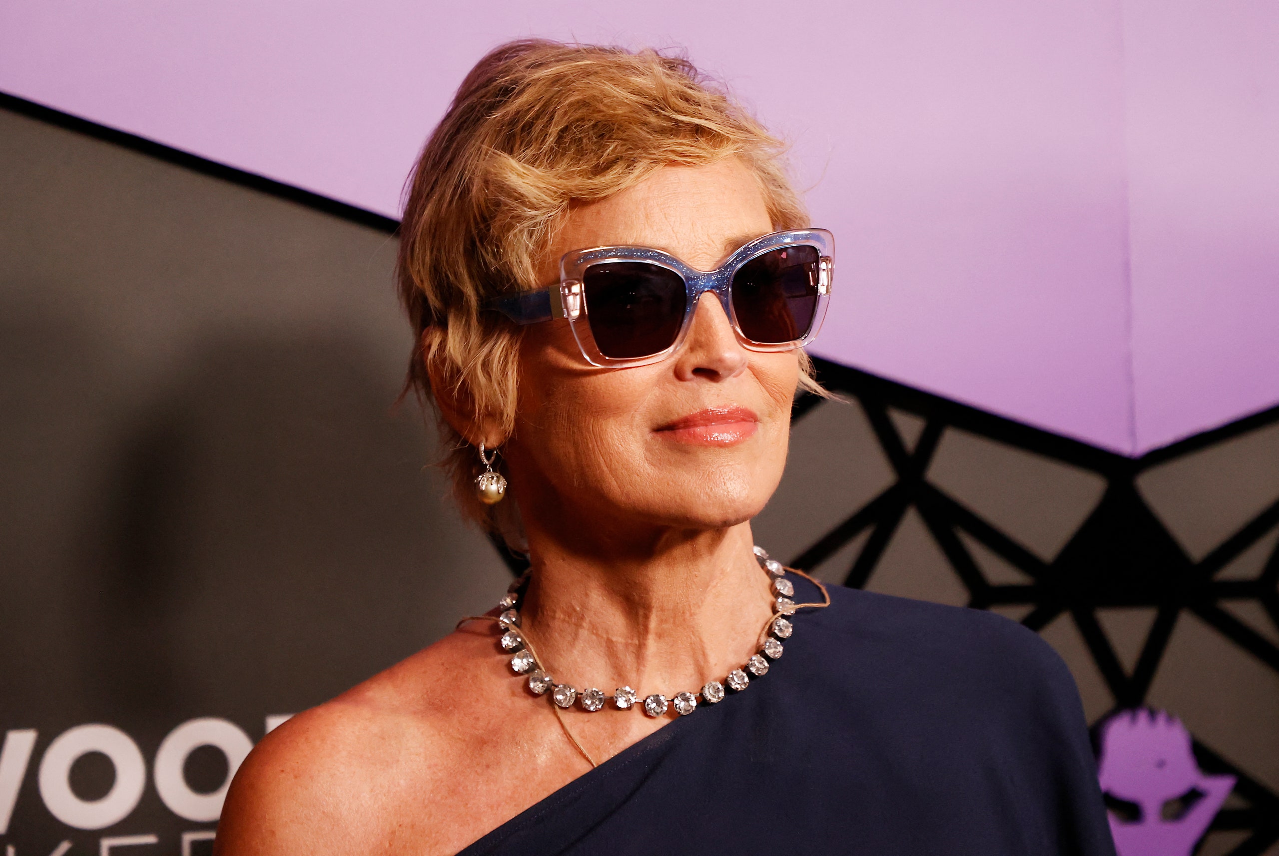picture of sharon stone 0049