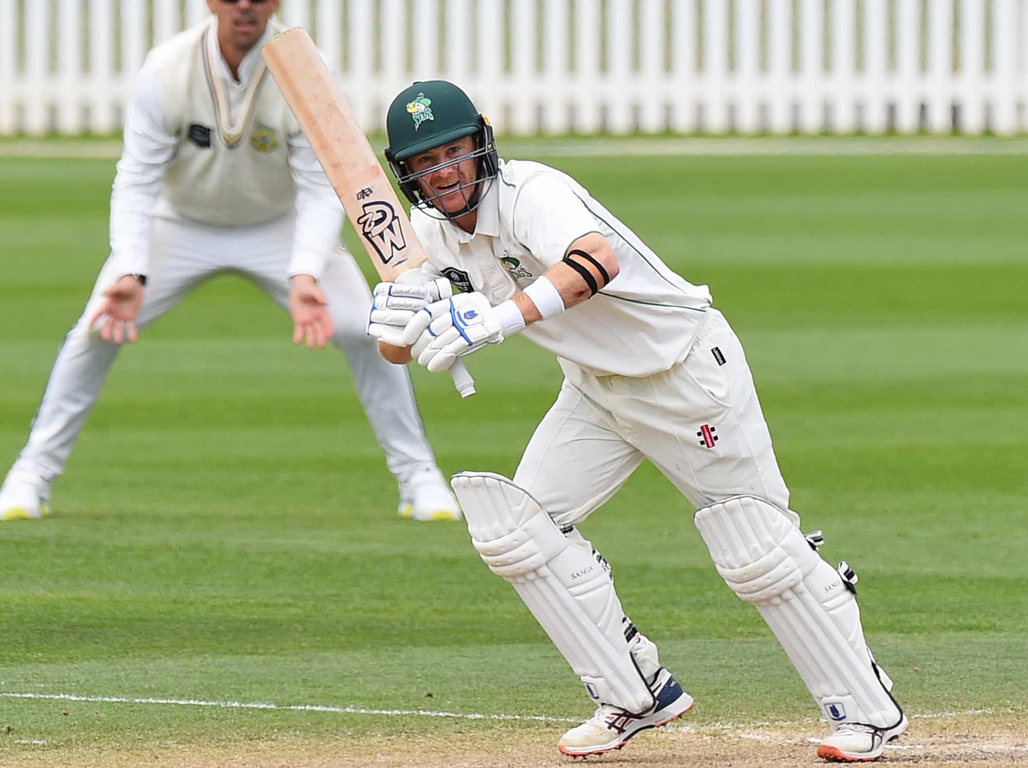 pictures of cricket