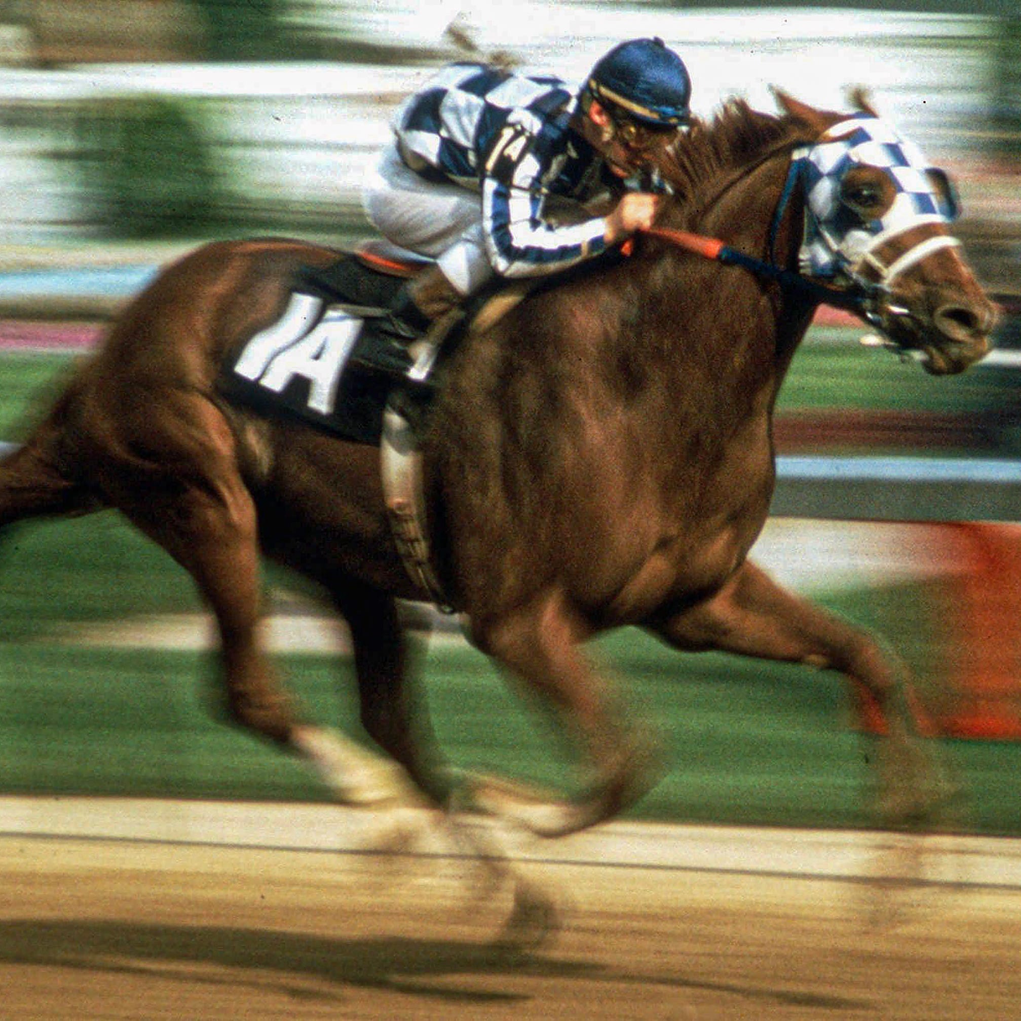 pictures of secretariat