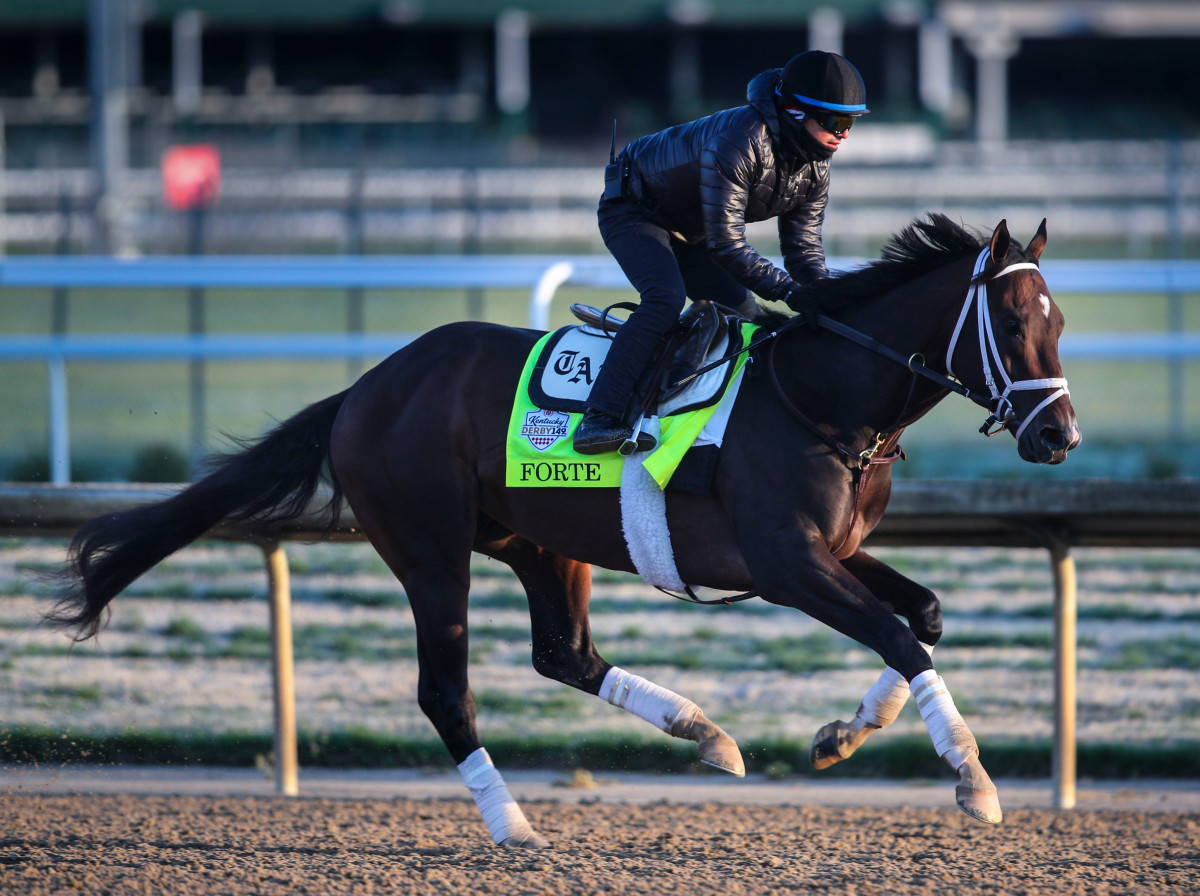 derby horse pictures